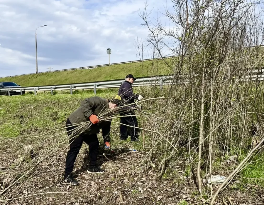 В Адыгейске состоялся очередной субботник, проведённый в рамках серии экологических акций по благоустройству города