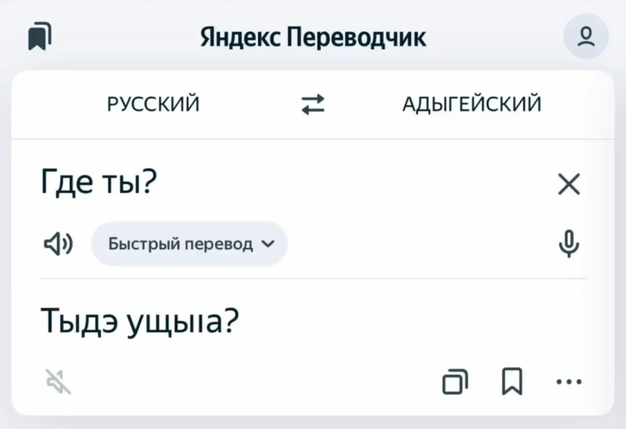 Адыгский язык теперь доступен в «Яндекс Переводчике»